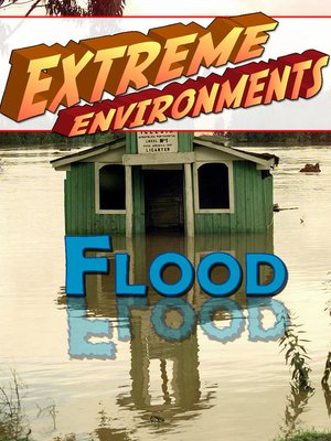 cover image of Flood